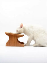 Elevated double ceramic pet bowls with bamboo stand, light brown wooden cat feeder