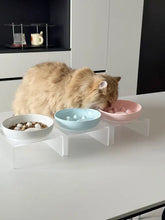 Flauschige orangefarbene Katze frisst aus erhöhten Futternäpfen mit langsamer Futterfreigabe