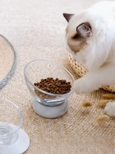 Elevated tilted non-slip clear pet bowl with tempered glass