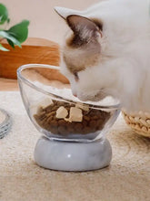 Elevated tilted non-slip clear pet bowl with tempered glass