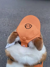 Orange bestickte Baseballkappe für Haustiere mit schwarzem Welpen-Gesicht