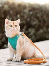 Teal Escape-Proof Cat Harness with plastic buckles and orange leash