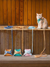 Escape-proof cat harness in teal tan on orange cat with plastic buckles