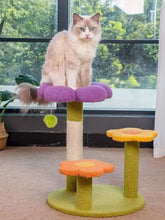 Fluffy cream cat with blue eyes on purple flower perch of cat tree scratching post