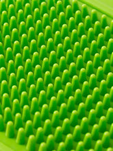 Delicato rimuovi peli per animali in silicone con setole coniche verde brillante