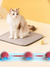 Gray cat mat with interactive sound teaser rope toy