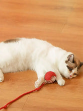 Fluffy cat lounges holding interactive sound ball toy with teaser rope
