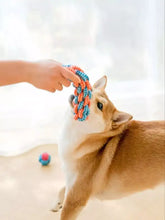 Orange and blue braided cotton rope interactive rope knot dog toy