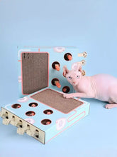 Interaktive Whack-A-Mole-Katzenspielzeugbox mit hellblauen Wellpapp-Kratzflächen und orangefarbenen Fisch-Ausschnitten