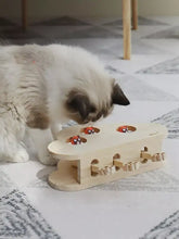 Wooden cat puzzle toy with red black bug figures peeking from holes