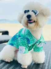 Fluffy white dog in Lightweight Pet Top with monstera leaf print