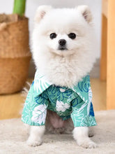 Fluffy white Pomeranian in Lightweight Pet Top with teal monstera leaf print