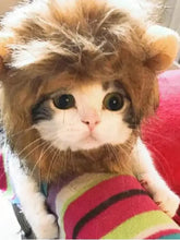 Fluffy brown lion mane pet headwear on cat