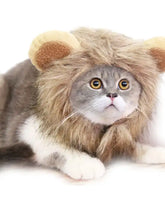 Fluffy tan beige lion mane pet headwear on gray tabby cat