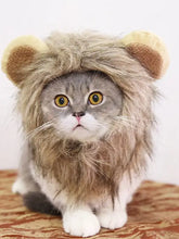 Fluffy tan and brown lion mane pet headwear with soft ears for cats