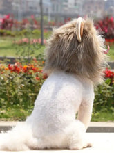 Fluffy white dog in lion mane pet headwear with tan faux-fur mane