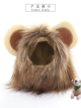 Lion mane pet hood with fluffy brown mane and plush ears