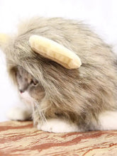 Lion mane pet headwear on cat with plush banana toy