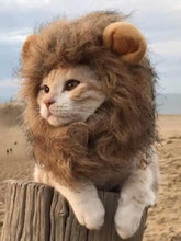Fluffy lion mane pet headwear on tabby cat with plush ears