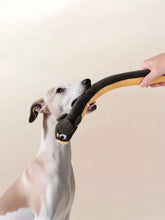 Long animal design plush toy: black and tan snake-shaped squeaky dog toy