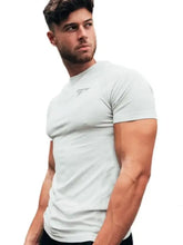 Mens Plus Size Short Sleeve Light Grey Reebok T-Shirt