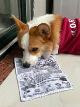 Fluffy corgi sniffs newspaper style pet sound toy with crinkle film