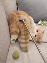 Fluffy orange cat with black chin lounging on couch using pet grooming comb