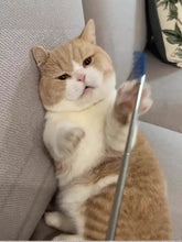 Fluffy orange cat holds blue-tipped pet grooming comb on gray couch