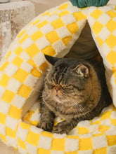Flauschige getigerte Katze in einem ananasförmigen, gemütlichen Haustiernest