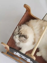 Gatto soffice crema e grigio in una cuccia a forma di slitta stile nave pirata