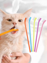 Colorful plastic pet toothbrush set with soft bristles in orange, blue, yellow, purple, pink