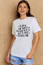 Plus size dark gray dog slogan graphic short sleeve cotton T-shirt
