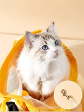 Gatto soffice bianco e grigio con occhi azzurri in borsa portatile traspirante per animali con clip per guinzaglio