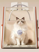 Fluffy ragdoll cat in Portable Breathable Pet Carrier Backpack