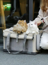 Portable breathable pet carrier bag in beige and gray mesh with adjustable straps