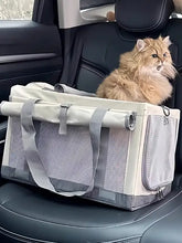 Fluffy orange cat in Portable Breathable Pet Carrier Bag