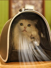 Transportadora portátil para animais de estimação com janela de bolha e gato branco fofo no interior
