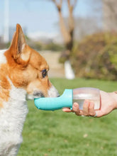Bouteille d'eau pour animaux portable turquoise, étanche, avec bol de boisson