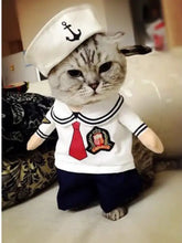 Gray tabby cat in Quirky Pet Jumpsuit sailor outfit with anchor hat