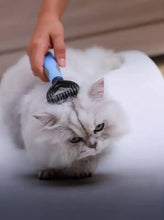 Blue-handled stainless steel pet hair removal comb reduces shedding