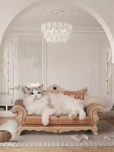 Flauschige weiße Katze auf retro kratzfestem Katzen-Kratzlounge-Sofa