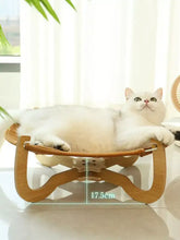 White cat in Round Woven Elevated Pet Bed with sturdy wood supports