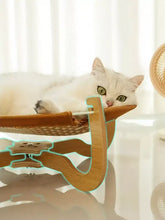 White cat in elevated woven pet bed with sturdy wood legs