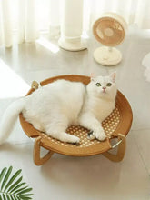 White cat in Round Woven Elevated Pet Bed with sturdy wood legs