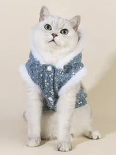 Flauschige weiße Katze im Pailletten-Haustiermantel mit Pelzbesatz, glitzernde blaue Weste