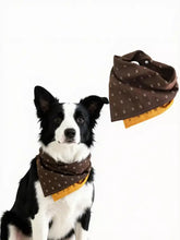 Soft pet scarf on black and white dog with brown bandana and yellow underside