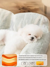 Fluffy white bichon frise resting in soft plush pet bed