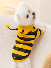 Flauschiger weißer Hund in einem weichen, warmen Haustier-Hoodie mit Bienenkostüm