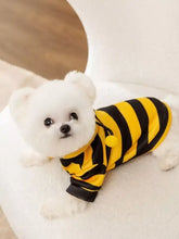 Flauschiger weißer Hund im gelb-schwarzen Bienen-Haustier-Hoodie, weicher, warmer Haustier-Stil