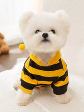 Flauschiger weißer Hund in einem weichen, warmen Haustier-Hoodie mit gelbem Bommel